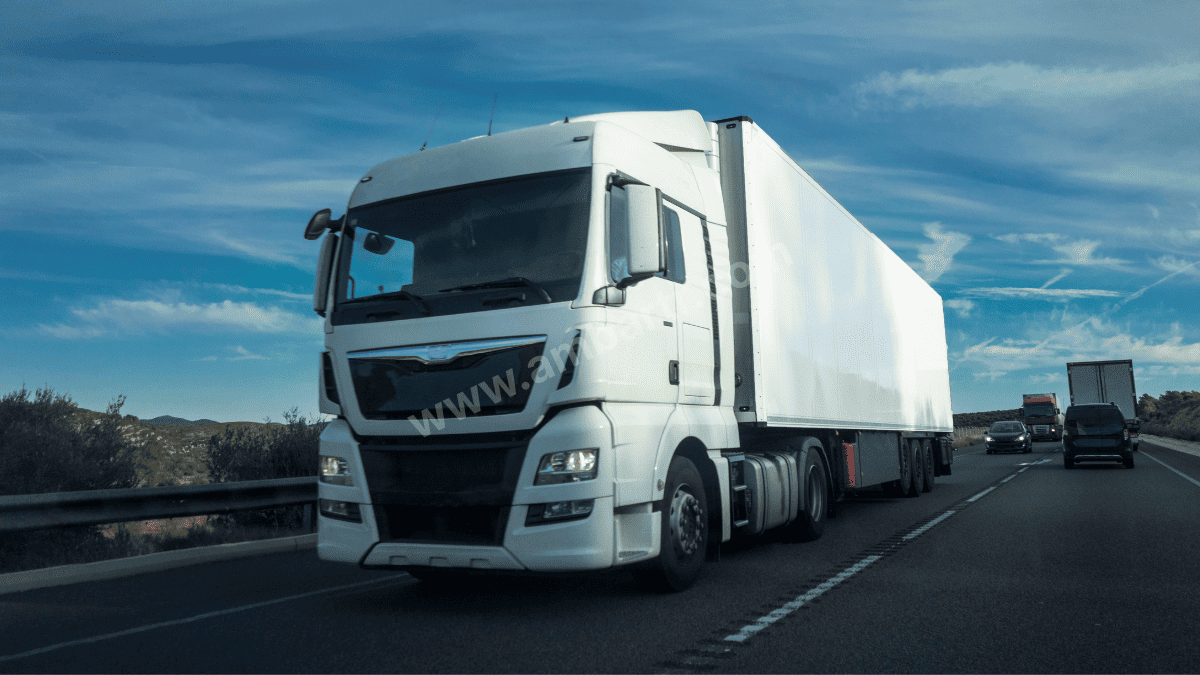 Palandöken Şehirler Arası Taşıma